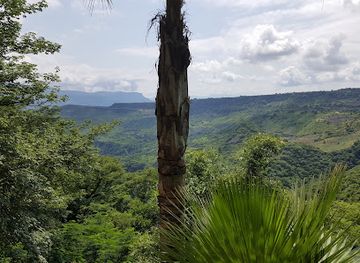 mexico/tequila-valley/attraction/balneario-la-toma