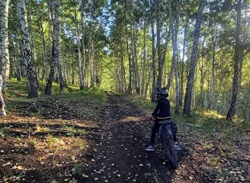 kazakhstan/kolsai-lakes/attraction/berezovaya-roshcha