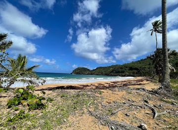 dominican-republic/las-terrenas/attraction/playa-las-canas