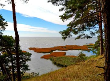poland/szczecin-lagoon/attraction/dab-wolinian