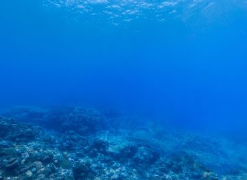 american-samoa/ofu-beach/attraction/big-momma