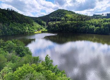 austria/waldviertel/attraction/burgruine-dobra
