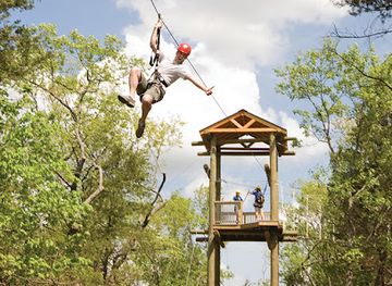 missouri/ozarks/attraction/branson-zipline-at-wolfe-mountain