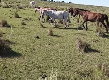 uruguay/quebrada-de-los-cuervos/attraction/anny-y-amilcar-cabalgatas