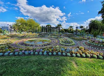 sweden/narke/attraction/cactus-plant