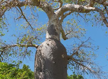 tanzania/dar-es-salaam/attraction/sinda-island