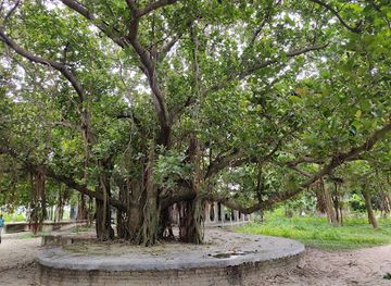 bangladesh/madhupur-tract/attraction/padma-hem-dham