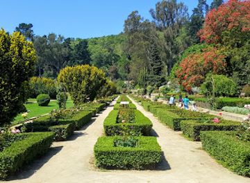 chile/valparaiso/attraction/vina-del-mar-national-botanical-garden
