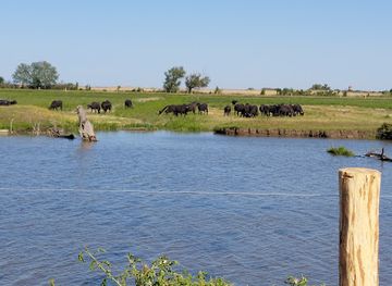 hungary/hortobagy/attraction/fishery-railway-hortobagy