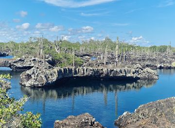 ecuador/puerto-ayora/attraction/punta-suarez