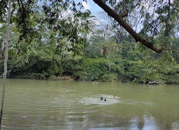 belize/vaca-plateau/attraction/mennonite-beach