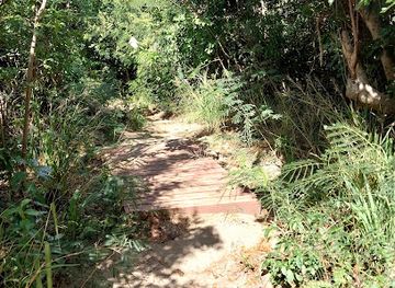 british-virgin-islands/the-baths-national-park/attraction/pond-bay-beach-trail