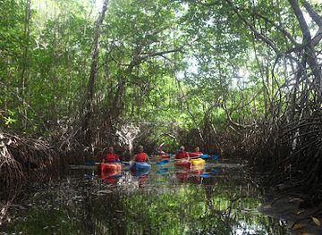 trinidad-and-tobago/caroni/attraction/nariva-swamp