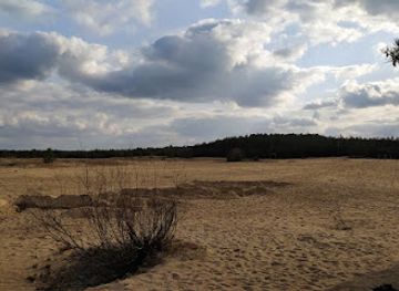 poland/kampinos-national-park/attraction/grochalskie-piachy