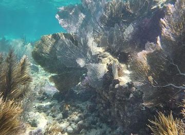 florida/key-largo/attraction/grecian-rocks