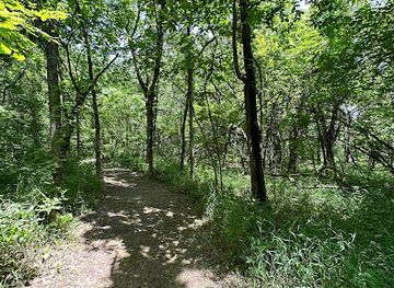 missouri/stockton-lake/attraction/umber-ridge-trailhead