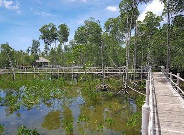 philippines/malapascua-island/attraction/omagieca-obo-ob-mangrove-garden