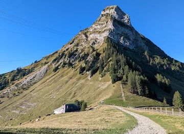 switzerland/lausanne/attraction/moleson