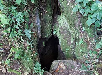 nepal/central-development-region/attraction/phulchowki-cave