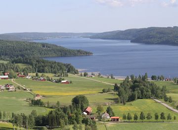 sweden/varmland/attraction/alma-lov-museum-of-unexp-art