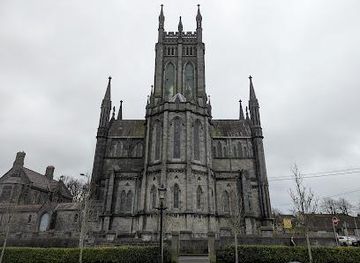 ireland/kilkenny/attraction/st-mary-s-cathedral