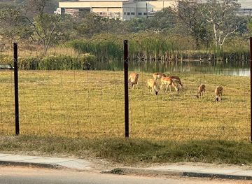 zambia/copperbelt/attraction/the-cbu-nature-park