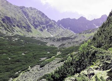 poland/tatra-mountains/attraction/dolina-panszczyca