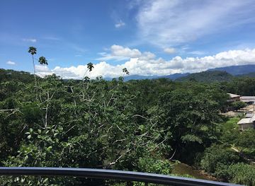ecuador/amazon/attraction/parque-amazonico-la-isla