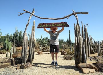 australia/high-country/attraction/cactus-country