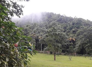 jamaica/cornwall-county/attraction/culture-market-jamaica