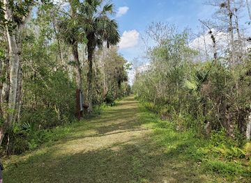 florida/fakahatchee-strand-preserve-state-park/attraction/fire-prairie-trail