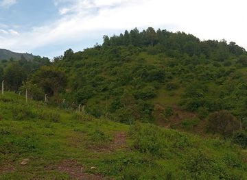 tanzania/mbeya/attraction/idunda-water-reserve