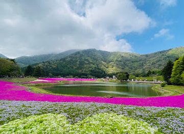 japan/mount-fuji/attraction/ryujin-ike