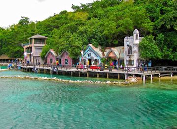 jamaica/runaway-bay-area/attraction/dolphin-cove-ocho-rios