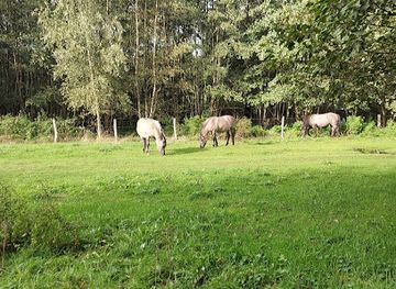 belgium/land-of-waas/attraction/het-stroperbos