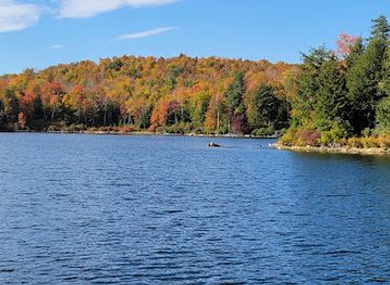 massachusetts/berkshires/attraction/october-mountain-state-forest