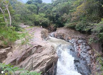 bolivia/yungas-road/attraction/puente-de-rio-vagantes