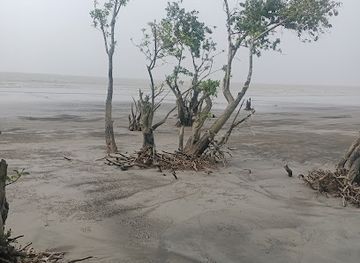 bangladesh/kuakata/attraction/ganga-mati-lake-park