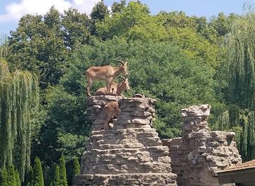Niabi Zoo