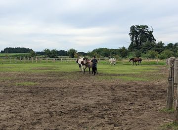 japan/mutsu/attraction/misawa-horse-park