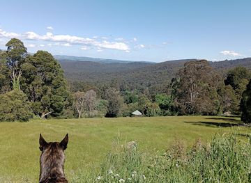 australia/yarra-valley/attraction/mount-dandenong-arboretum