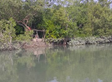 india/sundarbans/attraction/jharkhali-tourism-hub