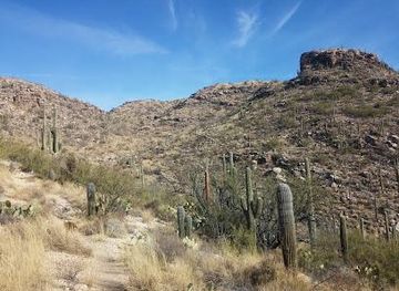 arizona/tucson/attraction/soldier-trail