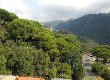 Lebanese Marine and Wildlife Museum