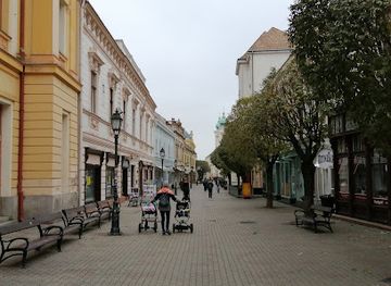 hungary/mecsek/attraction/vasvary-house