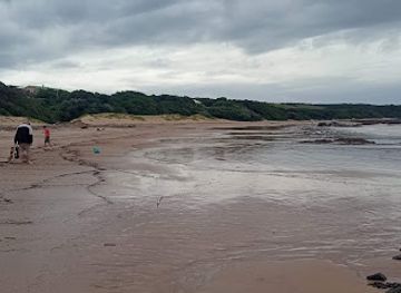 south-africa/wild-coast/attraction/cwebe-nature-reserve-reception-and-offices