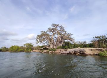 sri-lanka/puttalam-district/attraction/baobab-tree