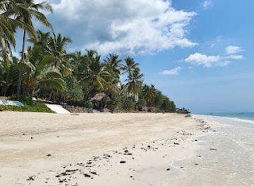 tanzania/zanzibar-archipelago/attraction/pingwe-beach