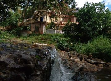 mauritius/moka/attraction/bassin-canard