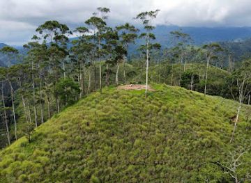 sri-lanka/ella/attraction/ella-pearl-mountain